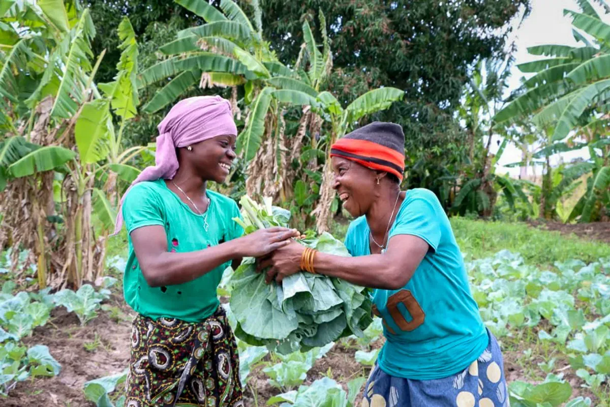 AgroVida Farmer Assessment